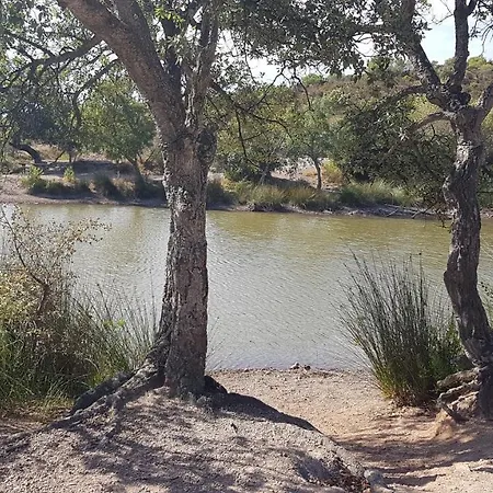 D Hotes De La Louve 4* Fréjus