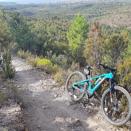 D Hotes De La Louve Oda ve Kahvaltı 4*