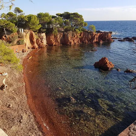 D Hotes De La Louve Fréjus