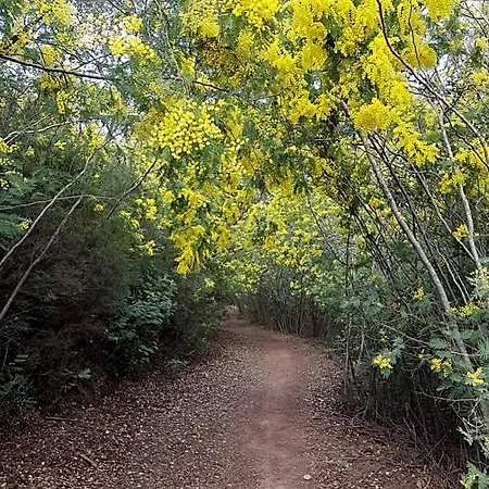 D Hotes De La Louve