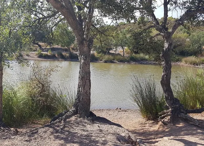D Hotes De La Louve 4* Fréjus