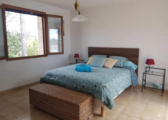 D Hotes De La Louve Fréjus